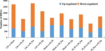 Comparative transcriptome analysis reveals immune-related genes involved in allograft and xenograft transplantation in Pinctada fucata